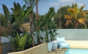 Chania Olive Home